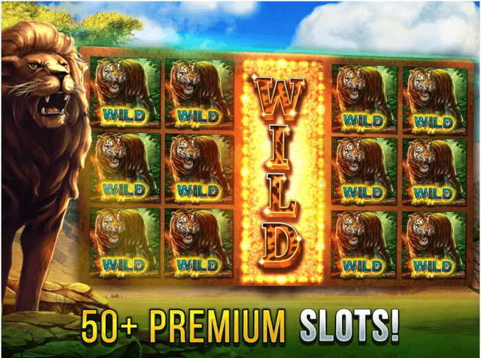Will You Accept Or Decline - Slot Mate - Free Slot Casino Slot