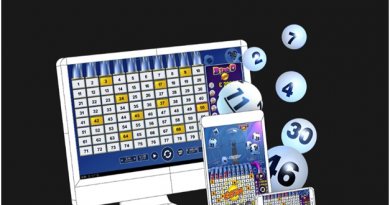 New bingo games to play
